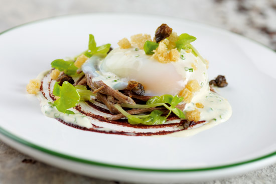 Lauwarmer Rindfleischsalat mit 1-Stunden-Ei, violettem Senf, Schnittlauchsauce und Erbsensprossen